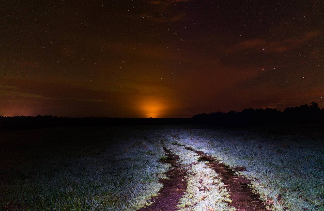 夜间露地景观