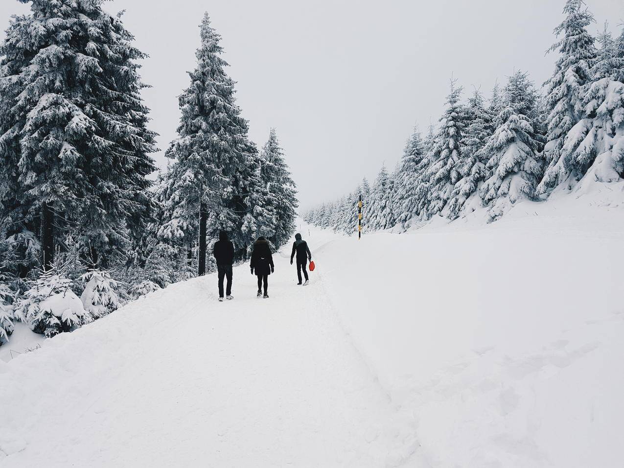 穿着黑色夹克在雪地上行走的人