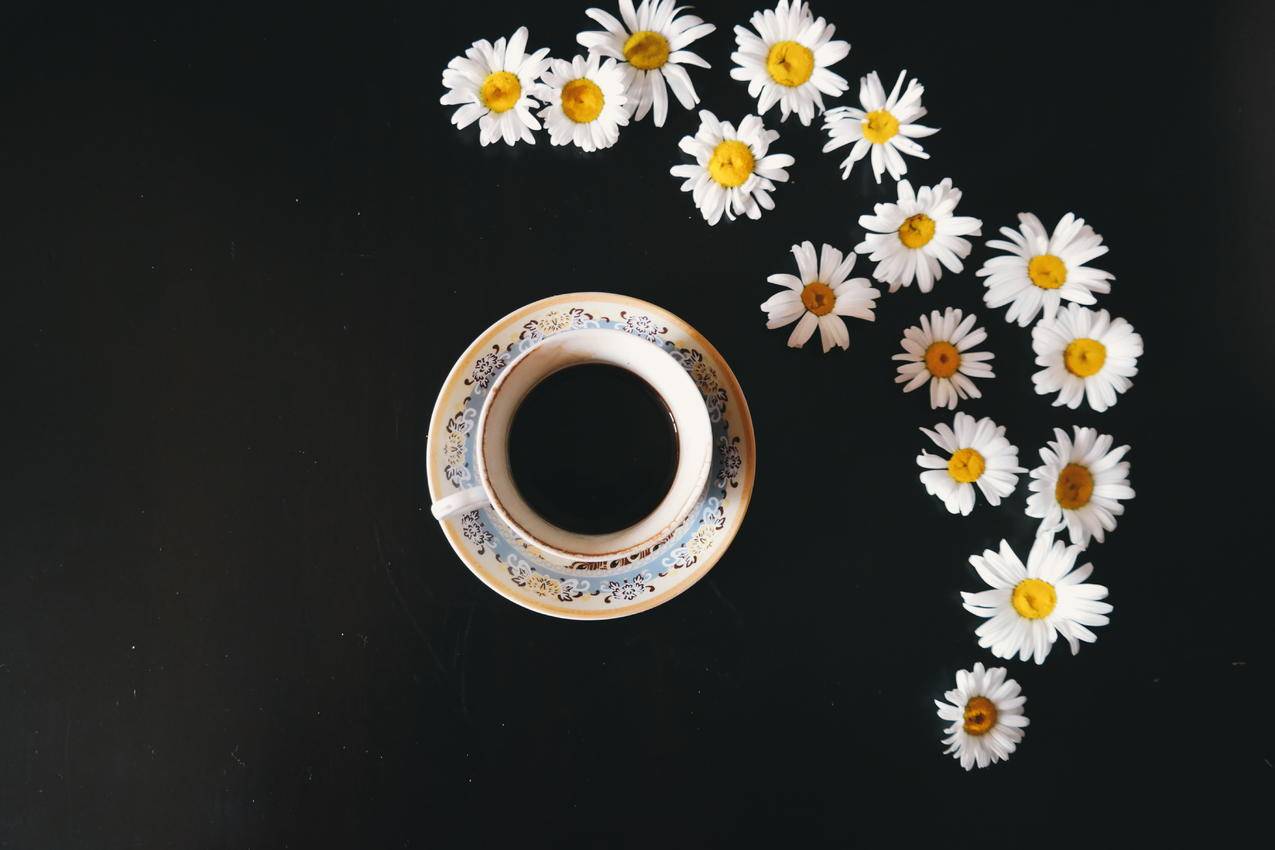 咖啡因,咖啡,杯子,鲜花cc0可商用高清图片