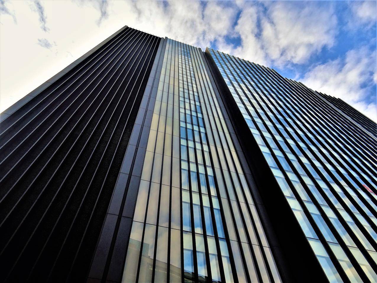 蚯蚓与建筑39