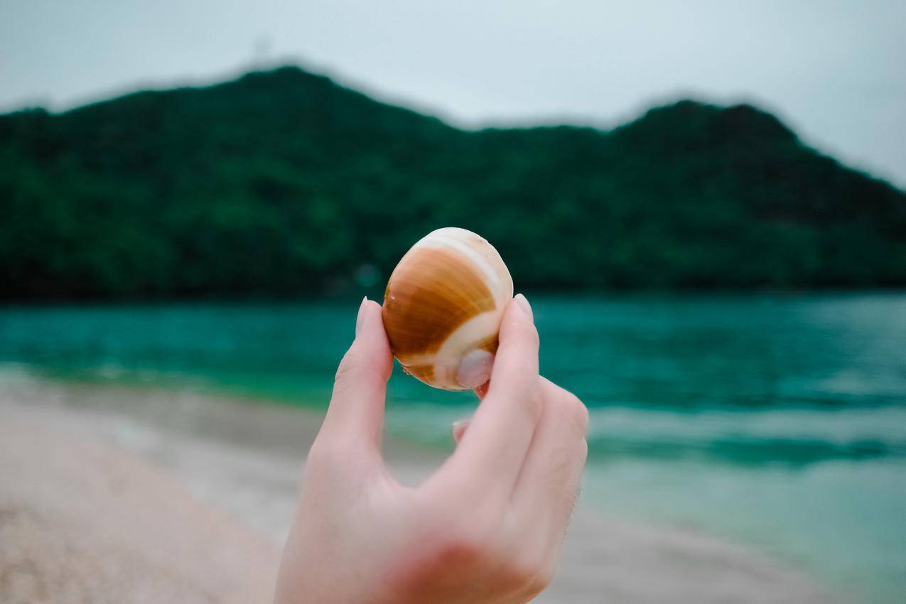 海洋,自然,天空,沙滩cc0可商用图片