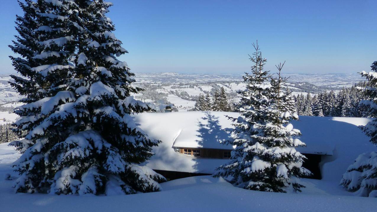 冬天的风景积雪瑞雪图片