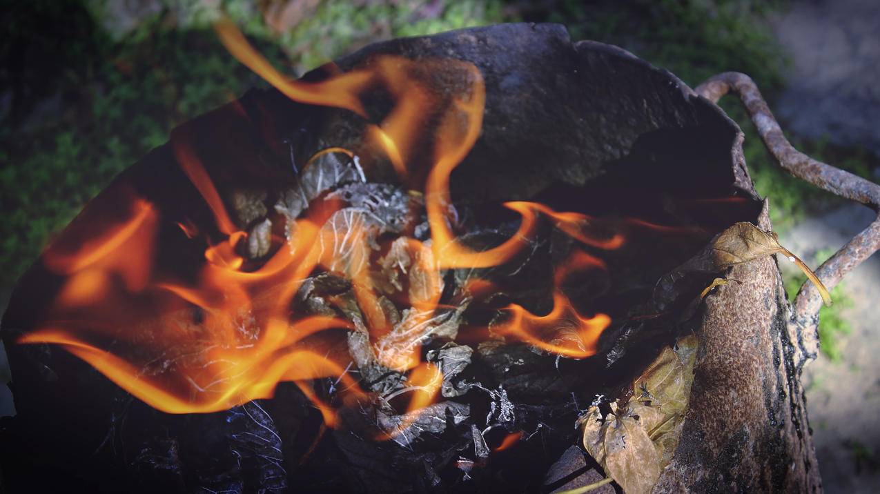 木材,木柴,火,热的cc0可商用高清图片