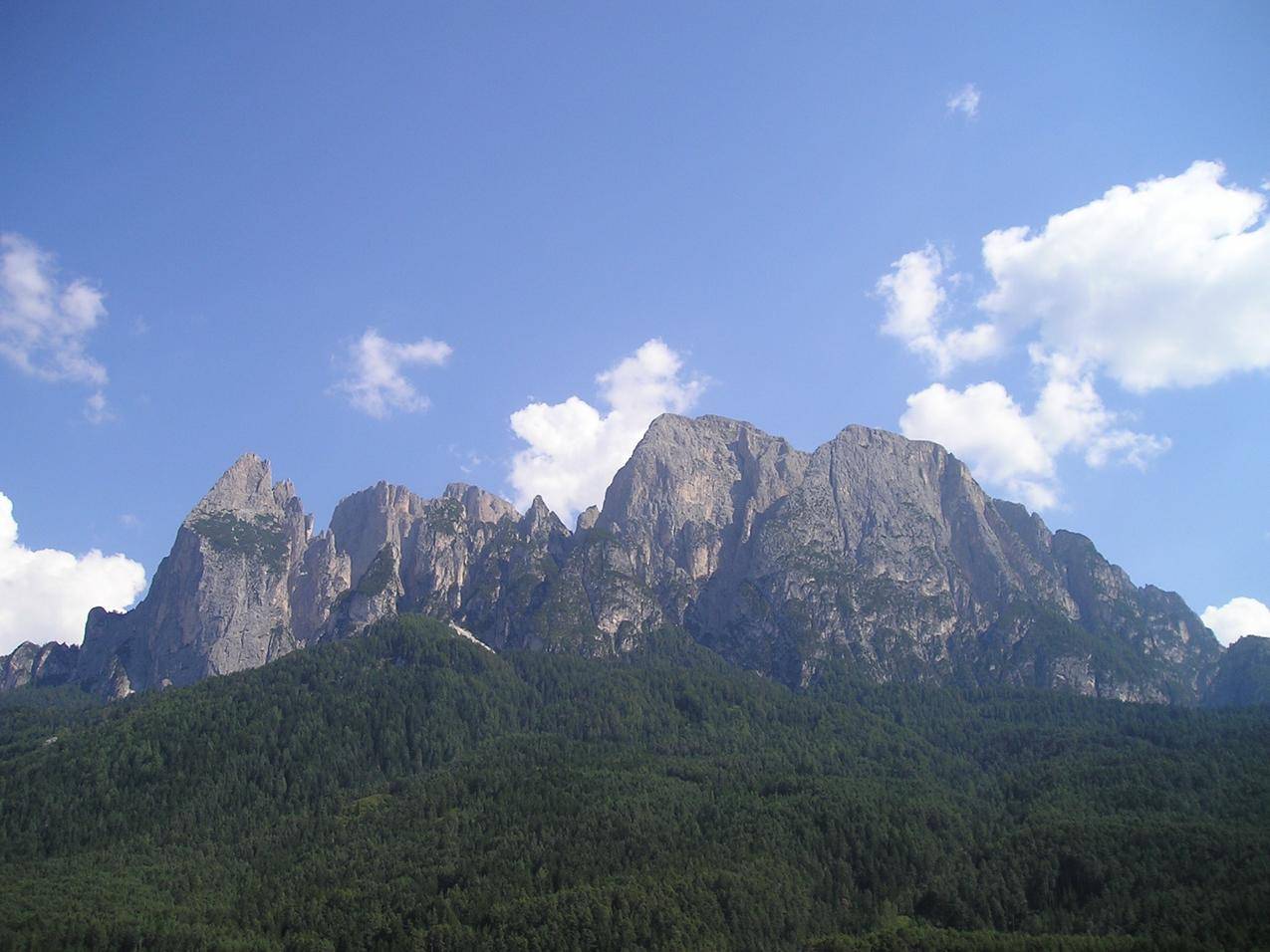 高山山峰绿色森林植被图片