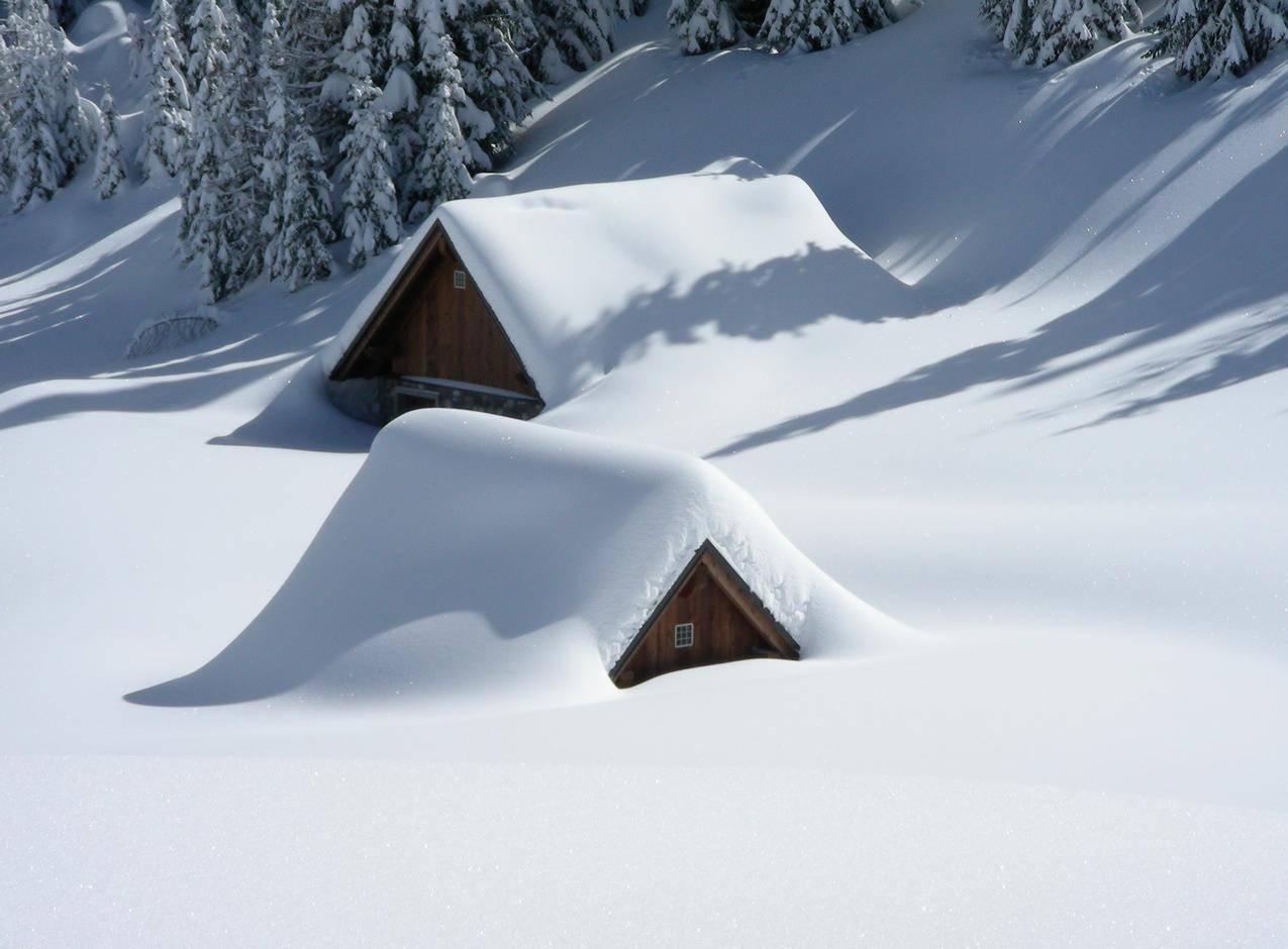 cc0可商用高清图片,冷,雪,树,冬天