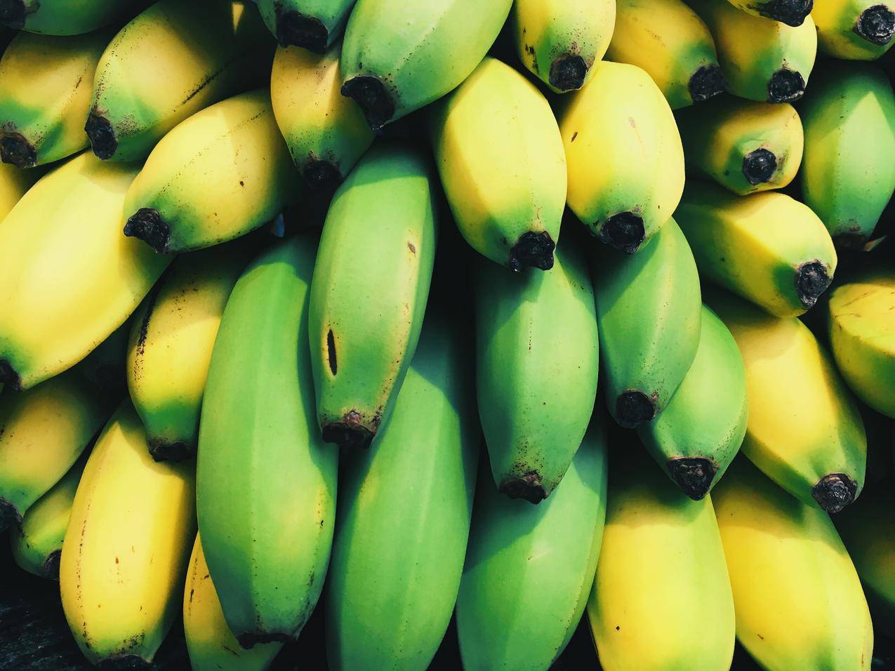 黄香蕉旁边的青香蕉