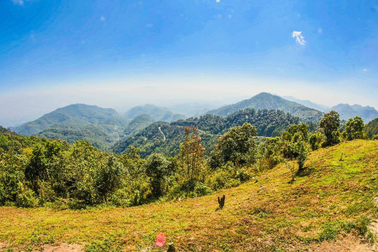 白天高山上树木的风景高清图片