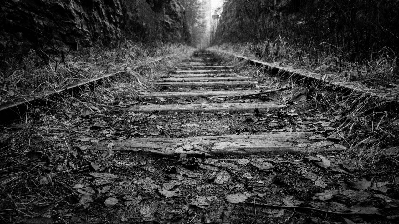 免费的黑白照片,铁路,铁路,透视图