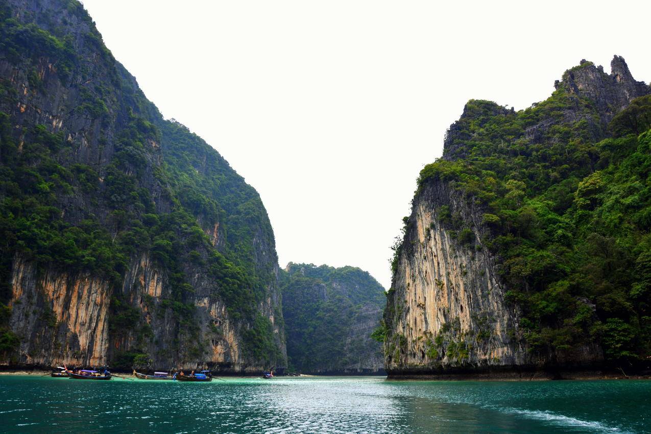 木材,海洋,风景,山脉cc0可商用高清图片