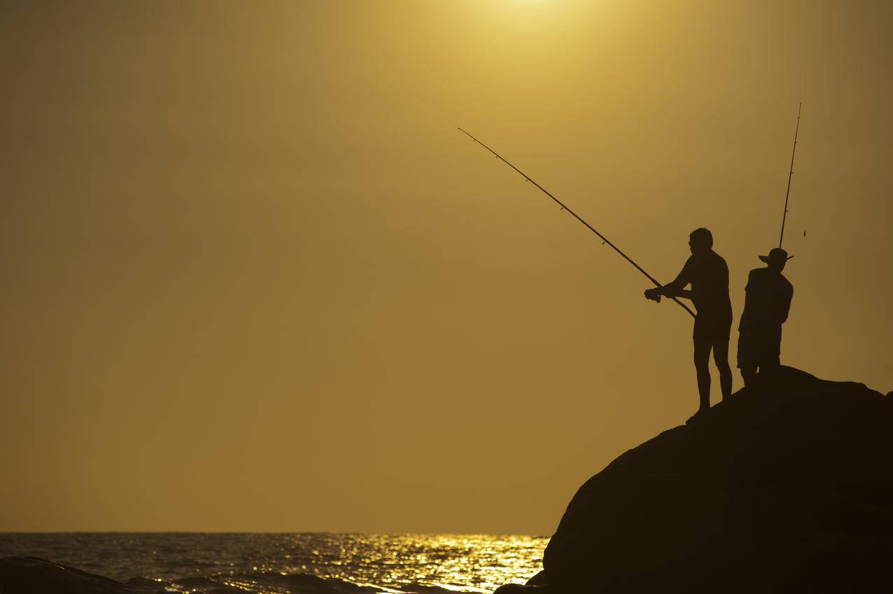 钓鱼,大海,黎明,风景的cc0可商用图片