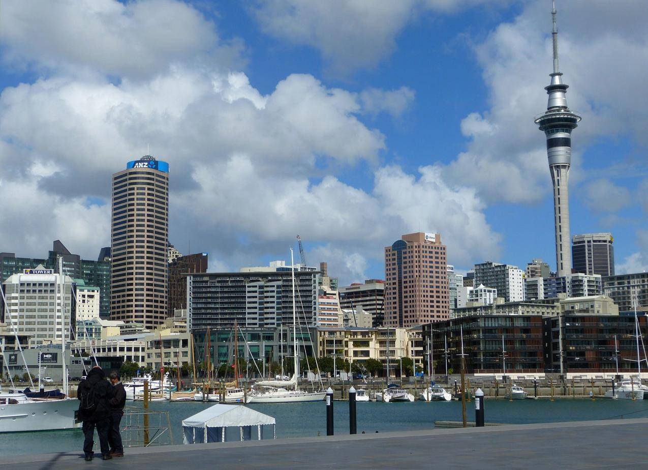 新西兰奥克兰的城市建筑图片