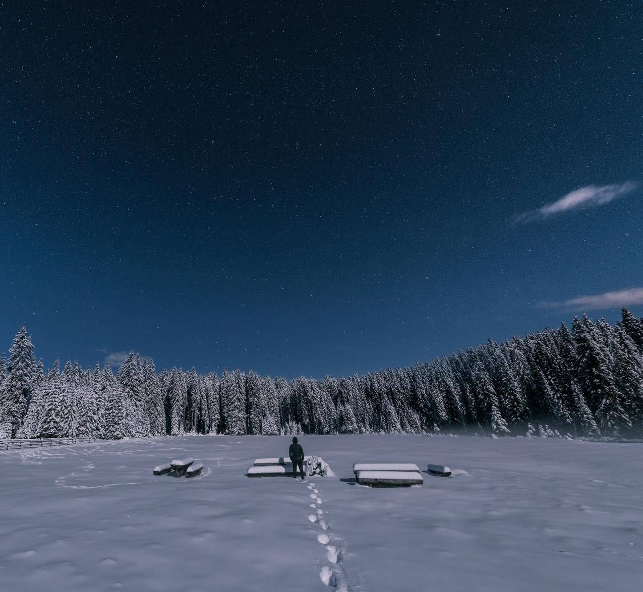 cc0可商用的冷,雪,景,自然高清大图