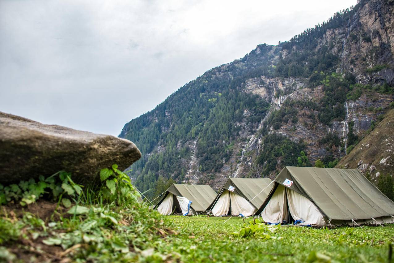 怀特和Brown,Tent,Camps