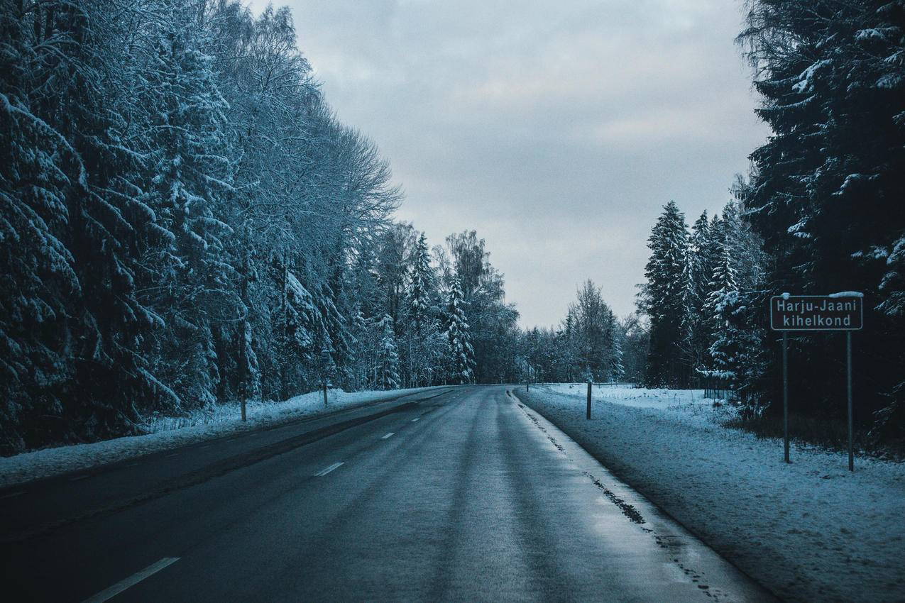 被雪覆盖的树木之间的灰色柏油路