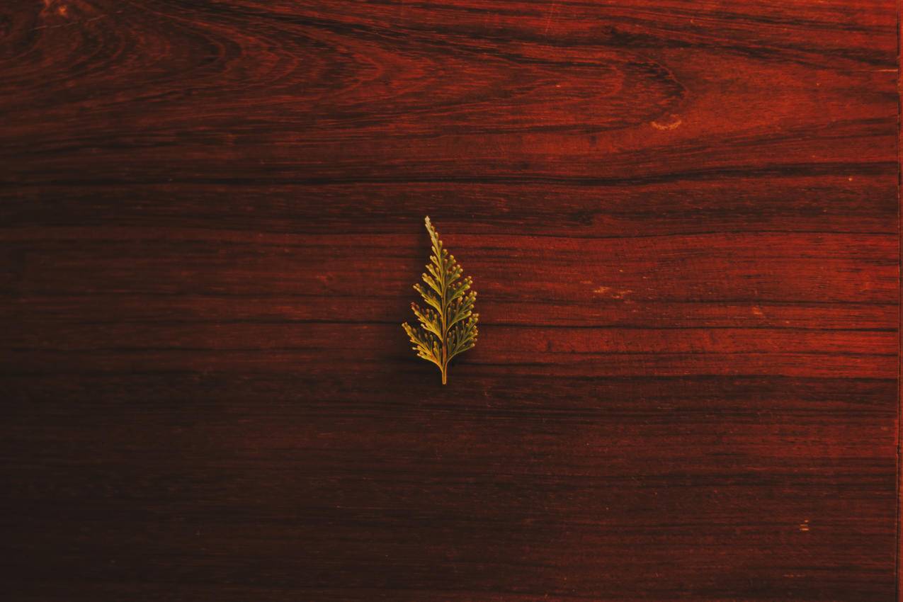 木板上叶子的合拢