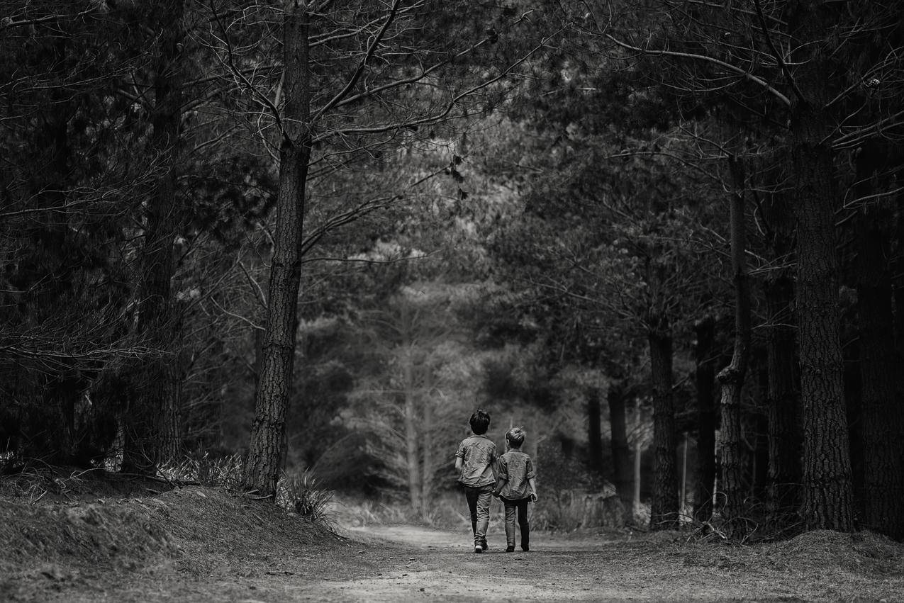 免费的黑白照片,道路,人,森林