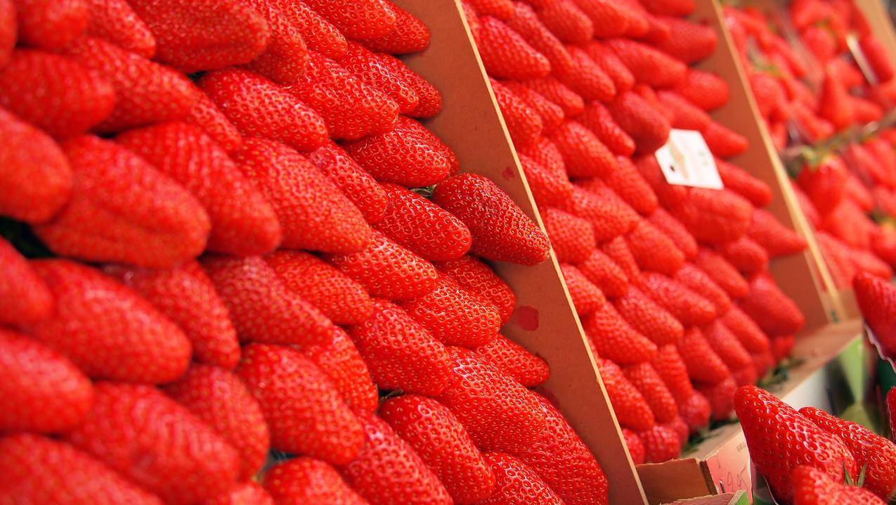 草莓果实4k壁纸