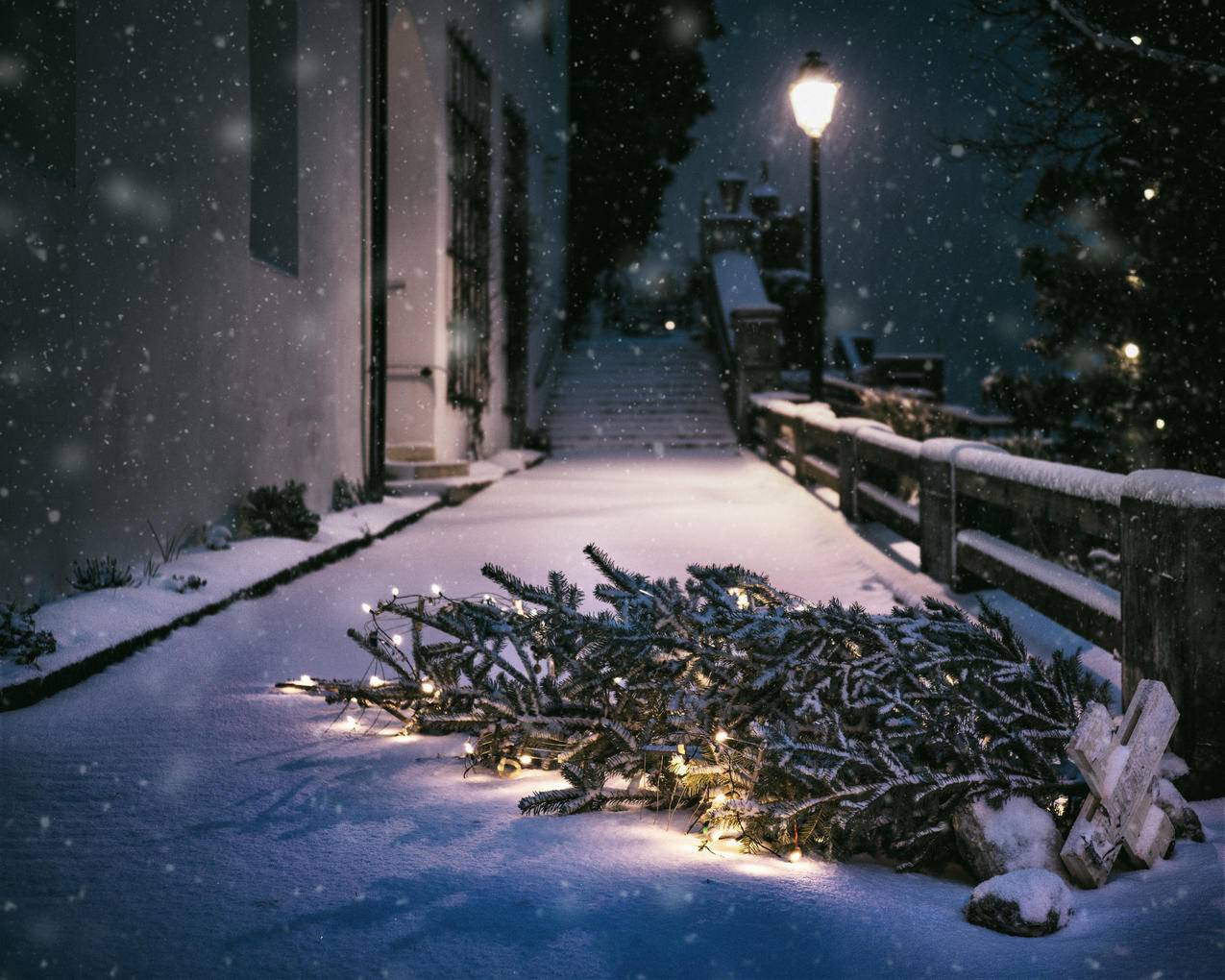 cc0可商用的雪,雪,光,夜图片