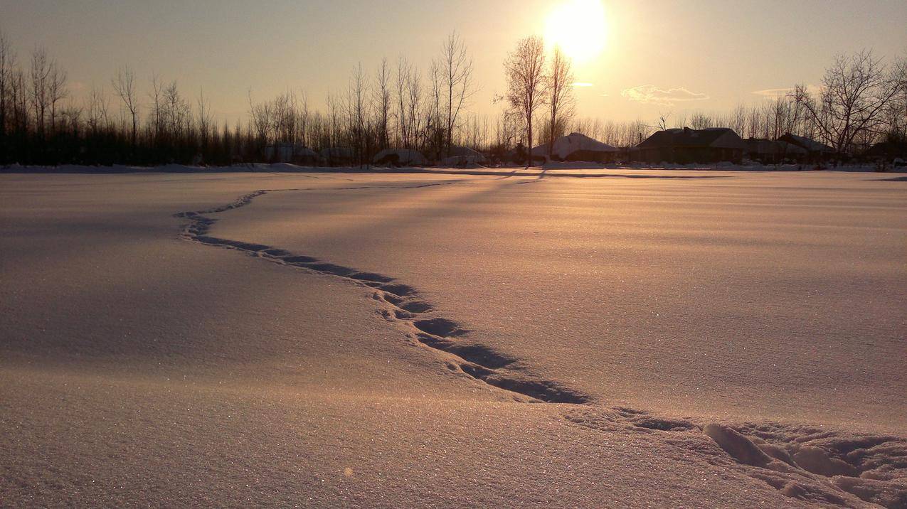 雪地日出高清图片
