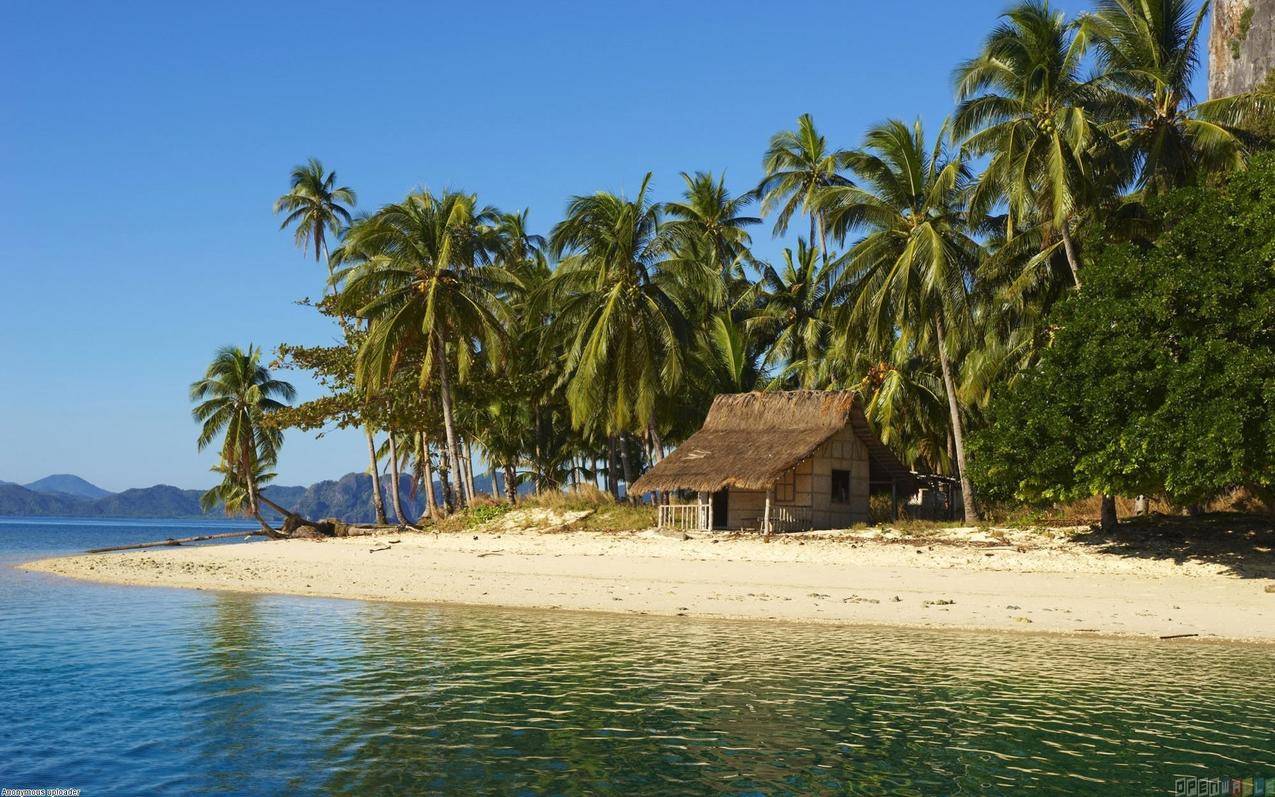 海滩的椰子树与小茅屋