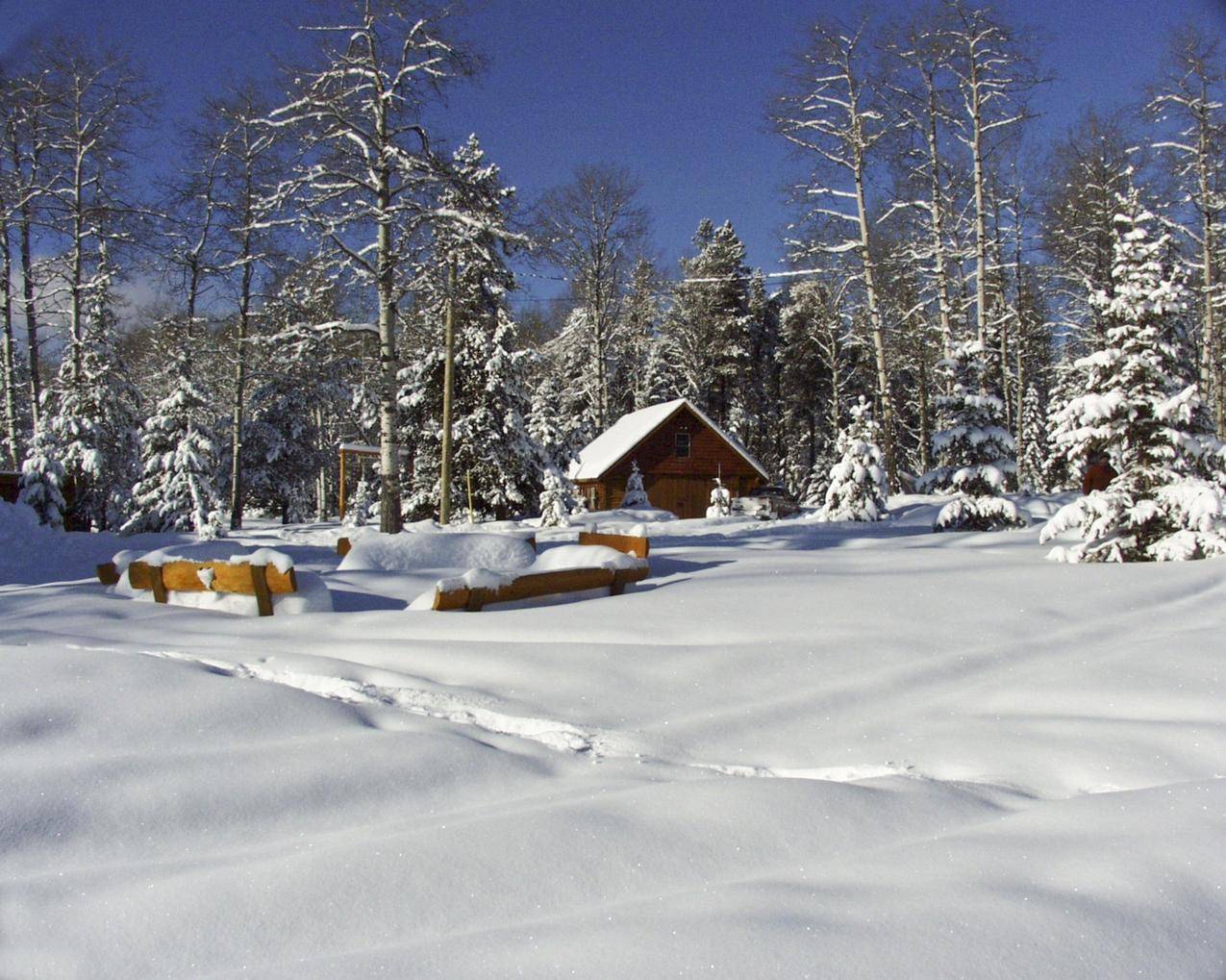 冬天的树林,雪地,小木屋图片