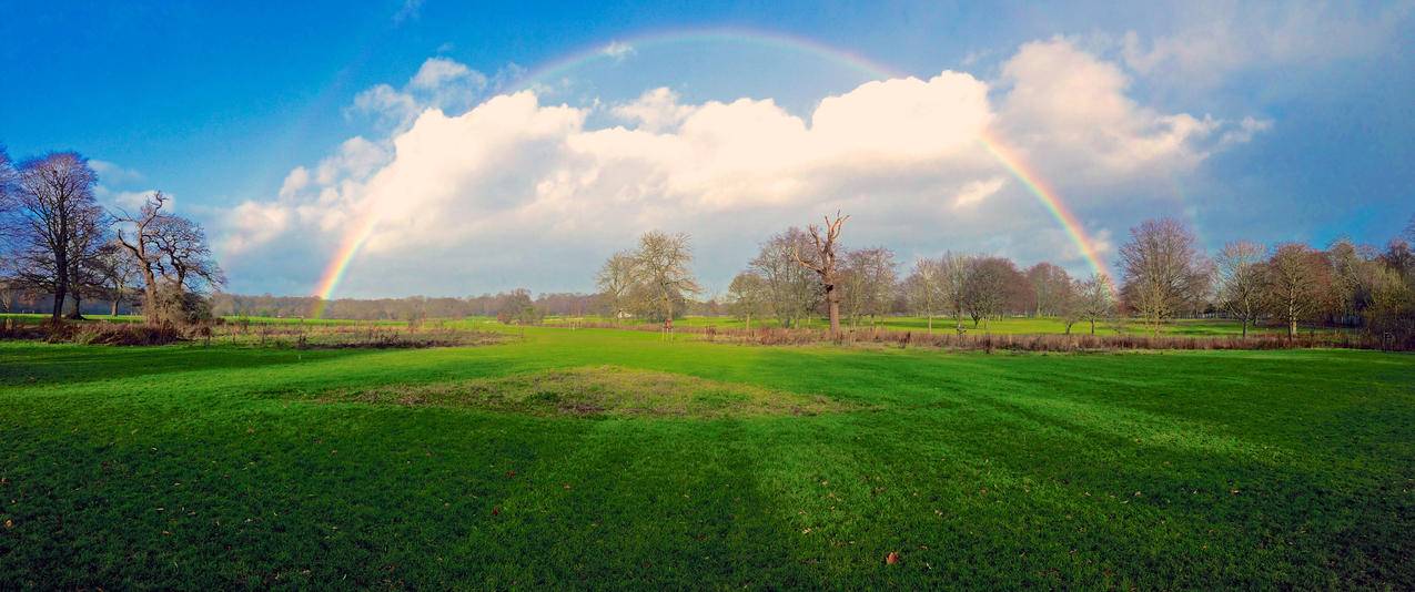 彩虹,蓝色天空,绿色草地,公园,3440x1440风景壁纸