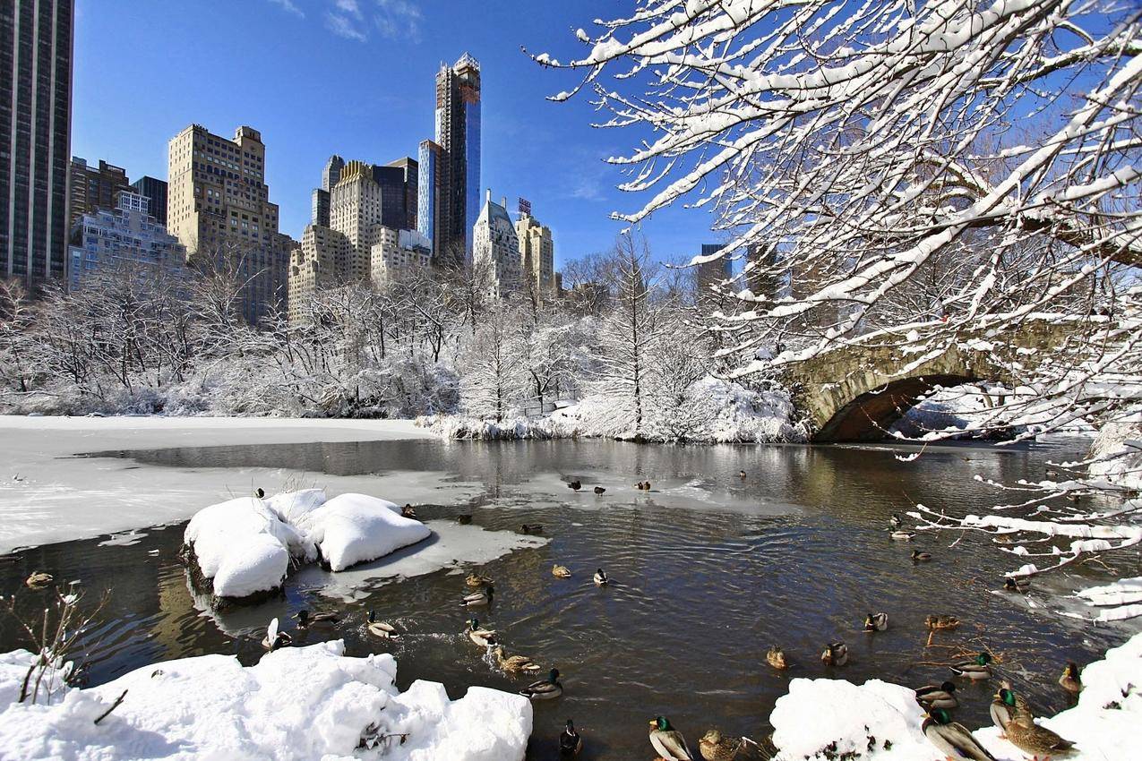 美国纽约曼哈顿的冬天