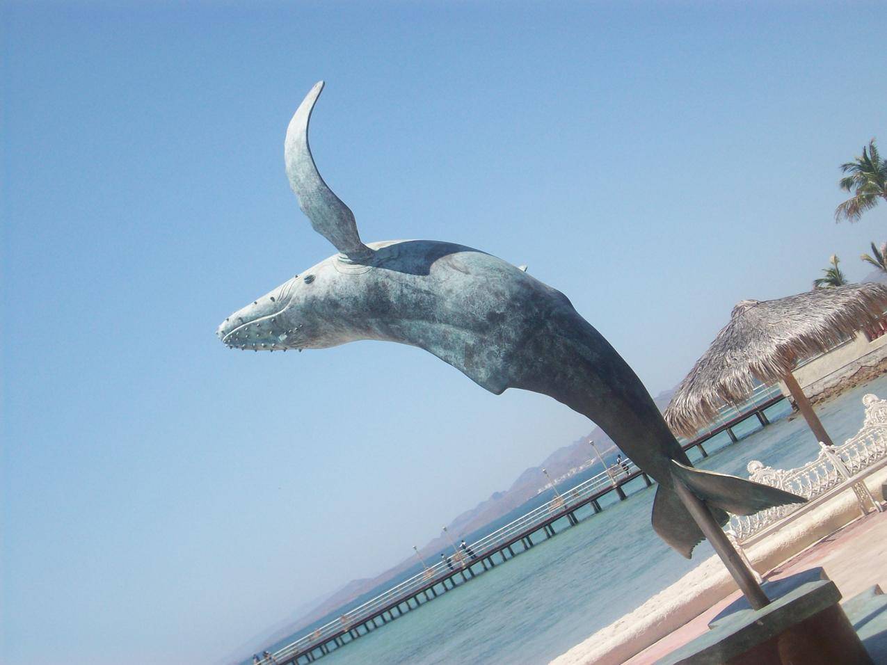 海边的景观雕塑鲸鱼雕塑图片