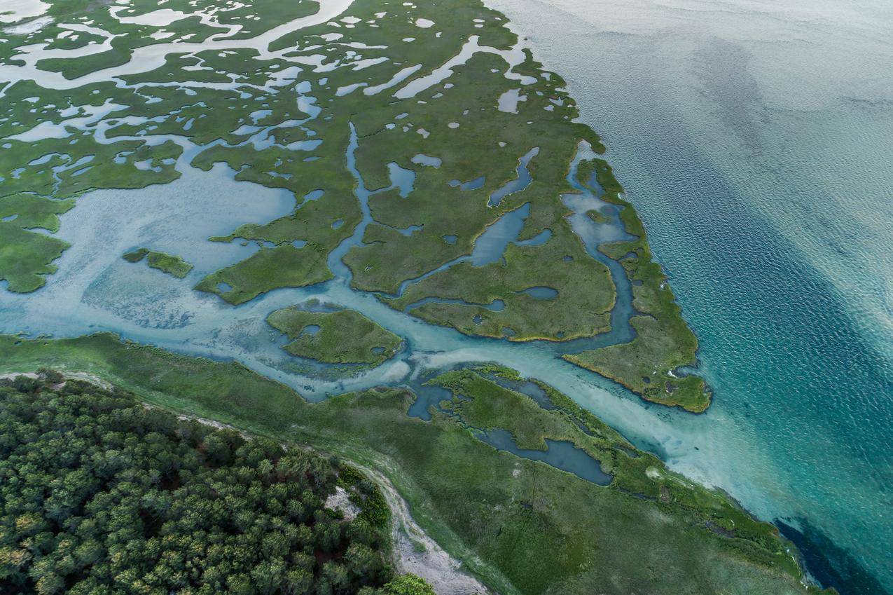 航拍沼泽岛屿风景图片