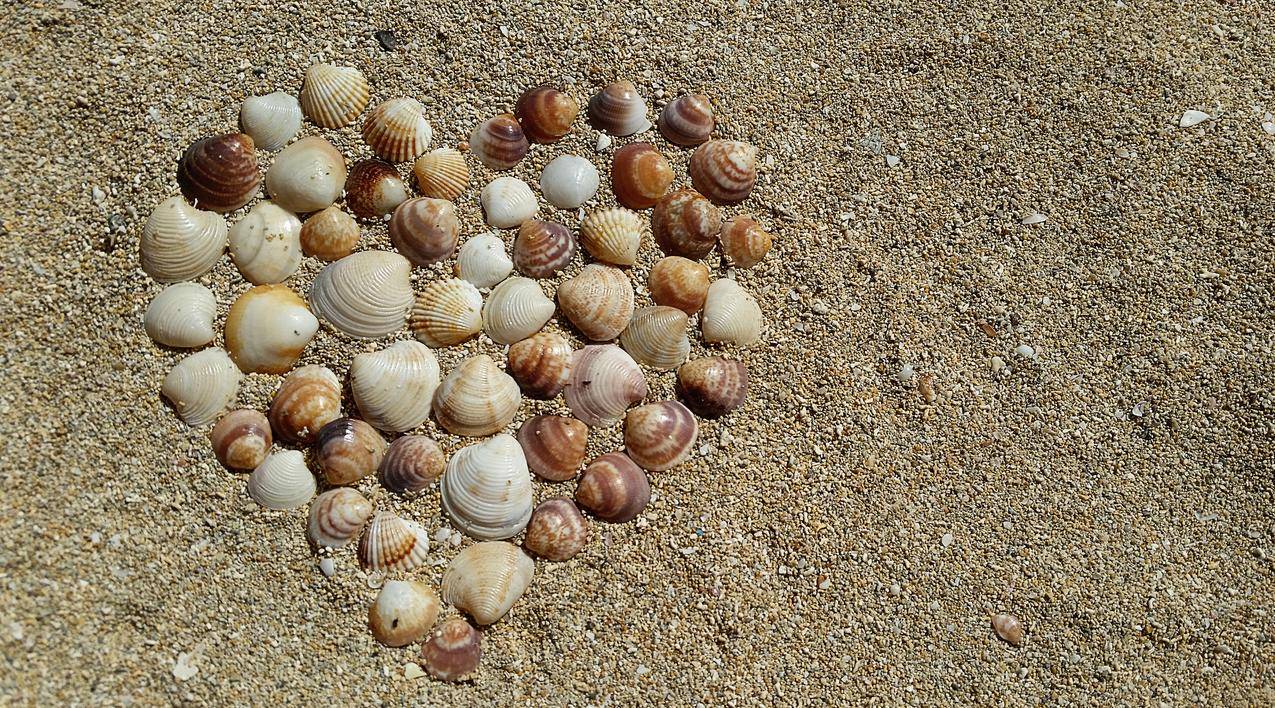 棕色海滩沙滩上的心形海贝