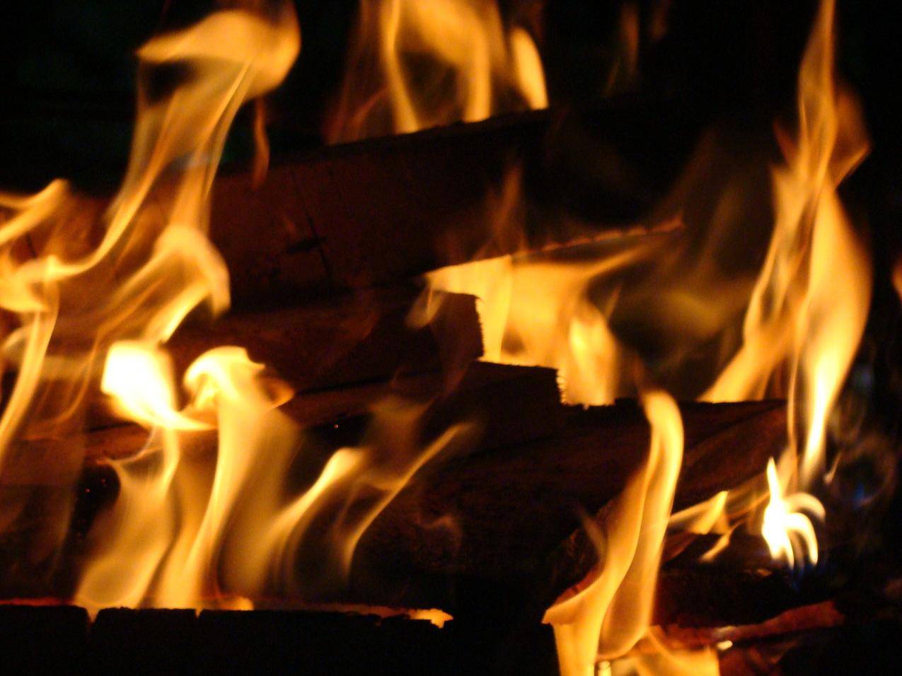 燃烧的火焰,木炭图片
