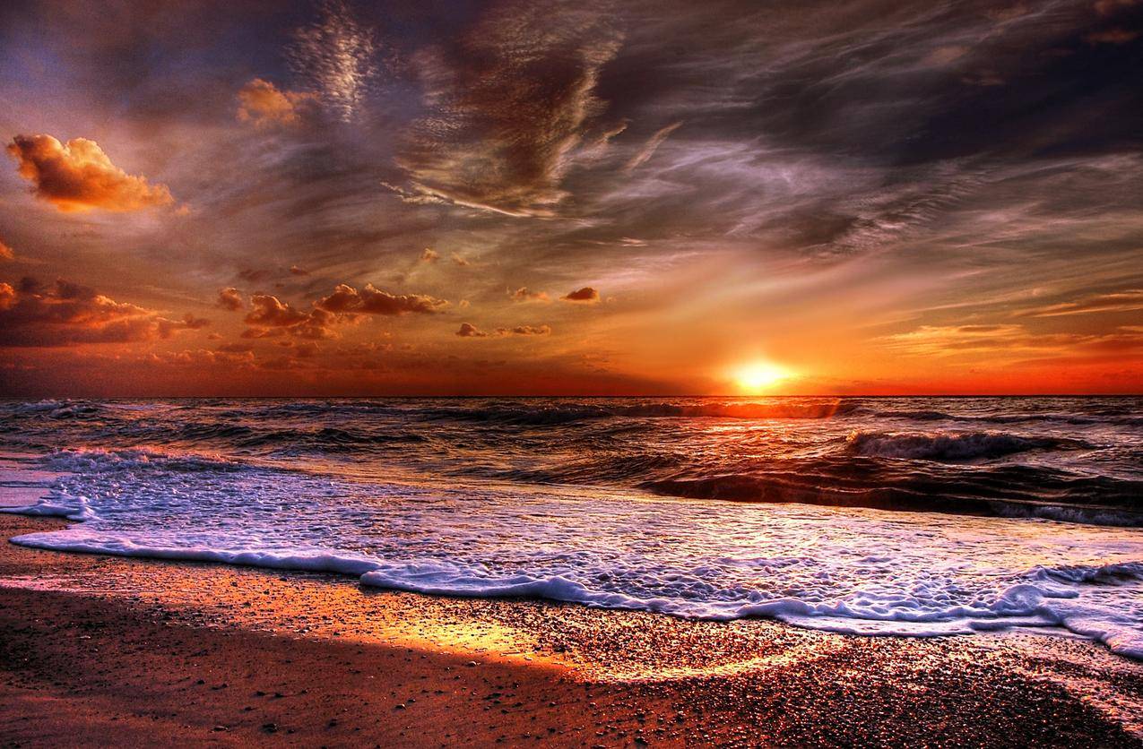 海洋,黎明,风景,大自然cc0可商用图片