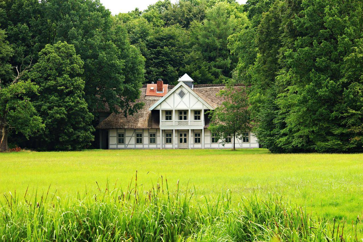 cc0可商用景观图片,田野,夏天,花园