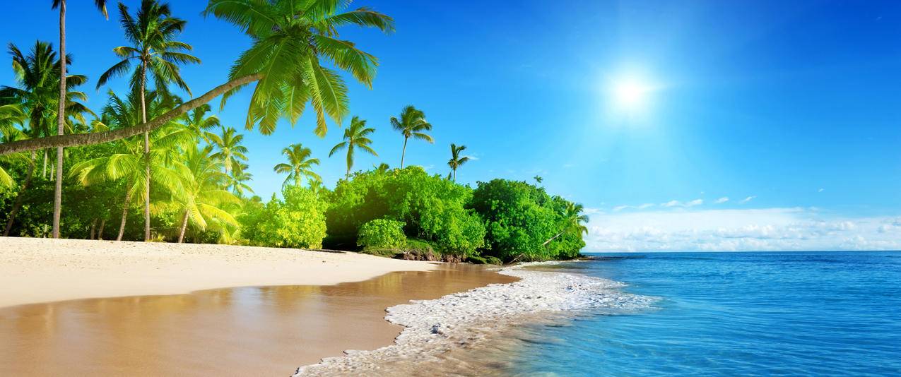 夏天,海洋,太阳,天空,棕榈,海岸,海滩,大自然风景3440x1440壁纸