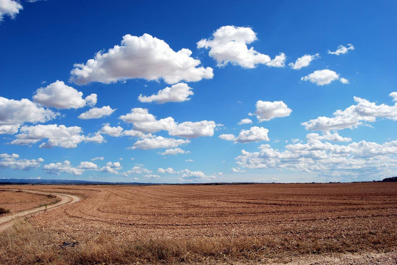 棕色的田野和蓝色的天空