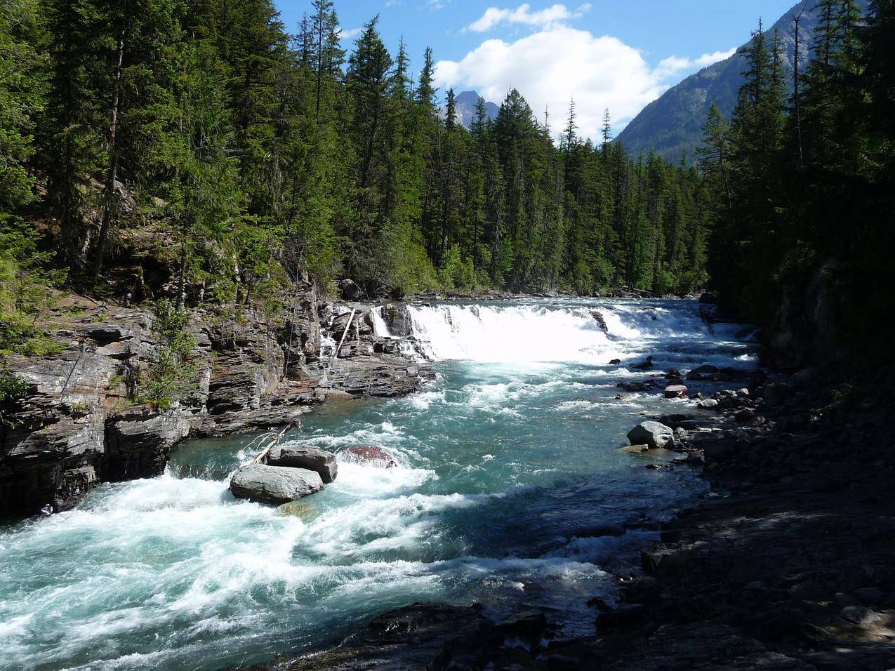 冰川国家公园激流湍急的河流与树林图片