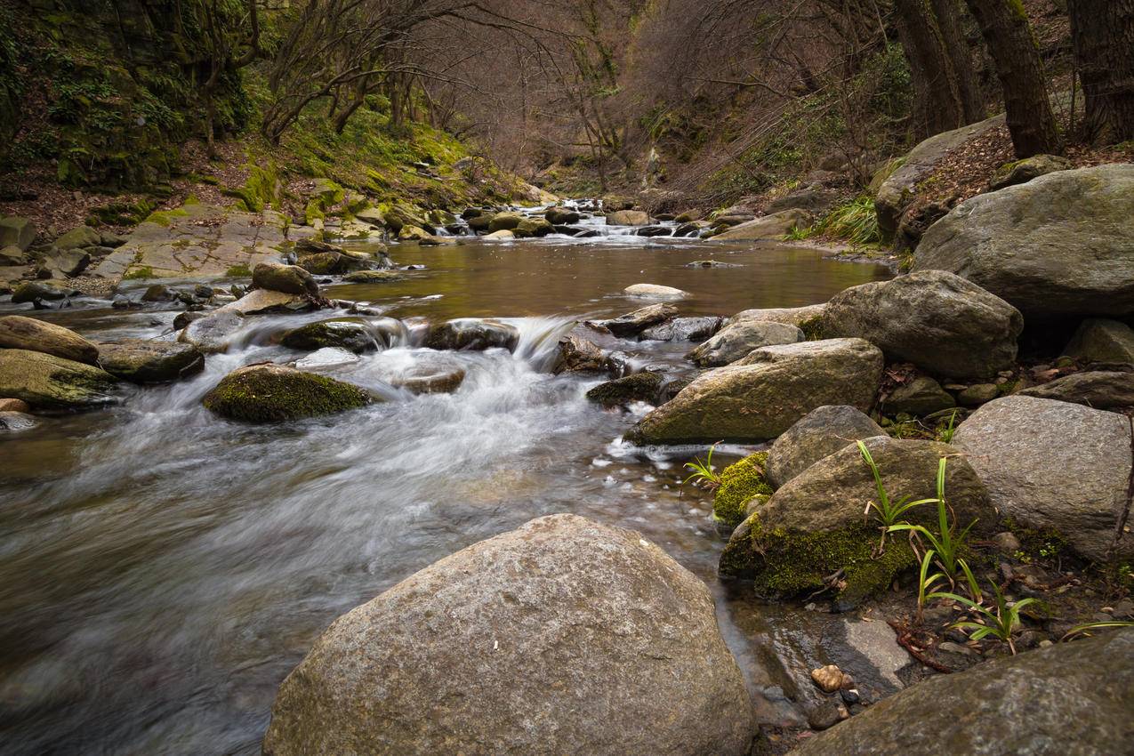 风景,自然,水,岩石免费照片