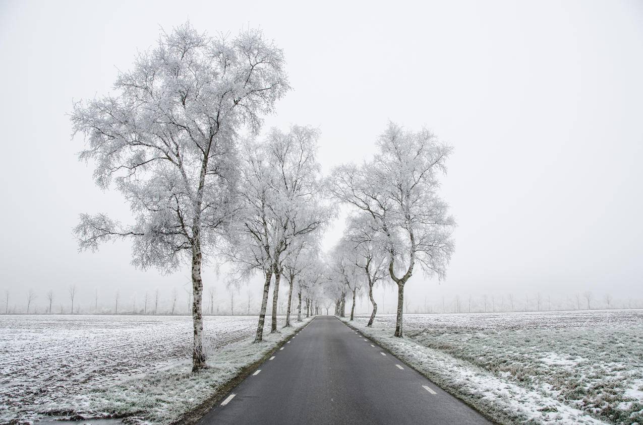 cc0可商用高清的图片,冷,雪,路,黎明