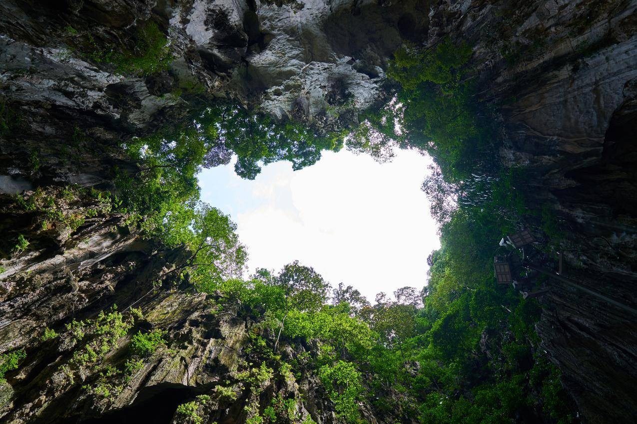 风景,自然,天空,夏天cc0可商用图片
