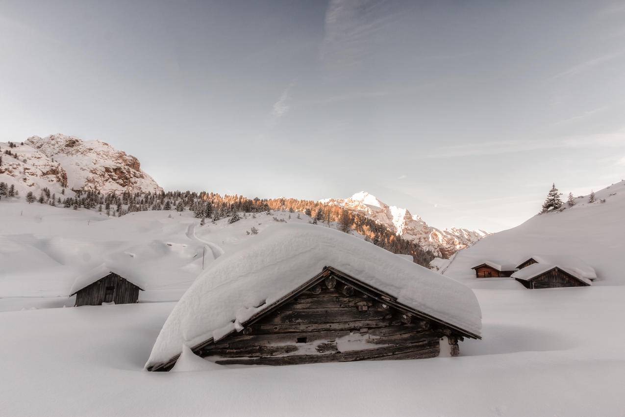 白天白雪覆盖的棕色木屋