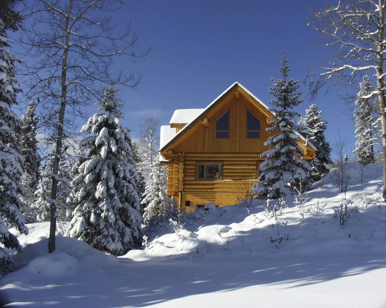 冬天的积雪雪地与小木屋