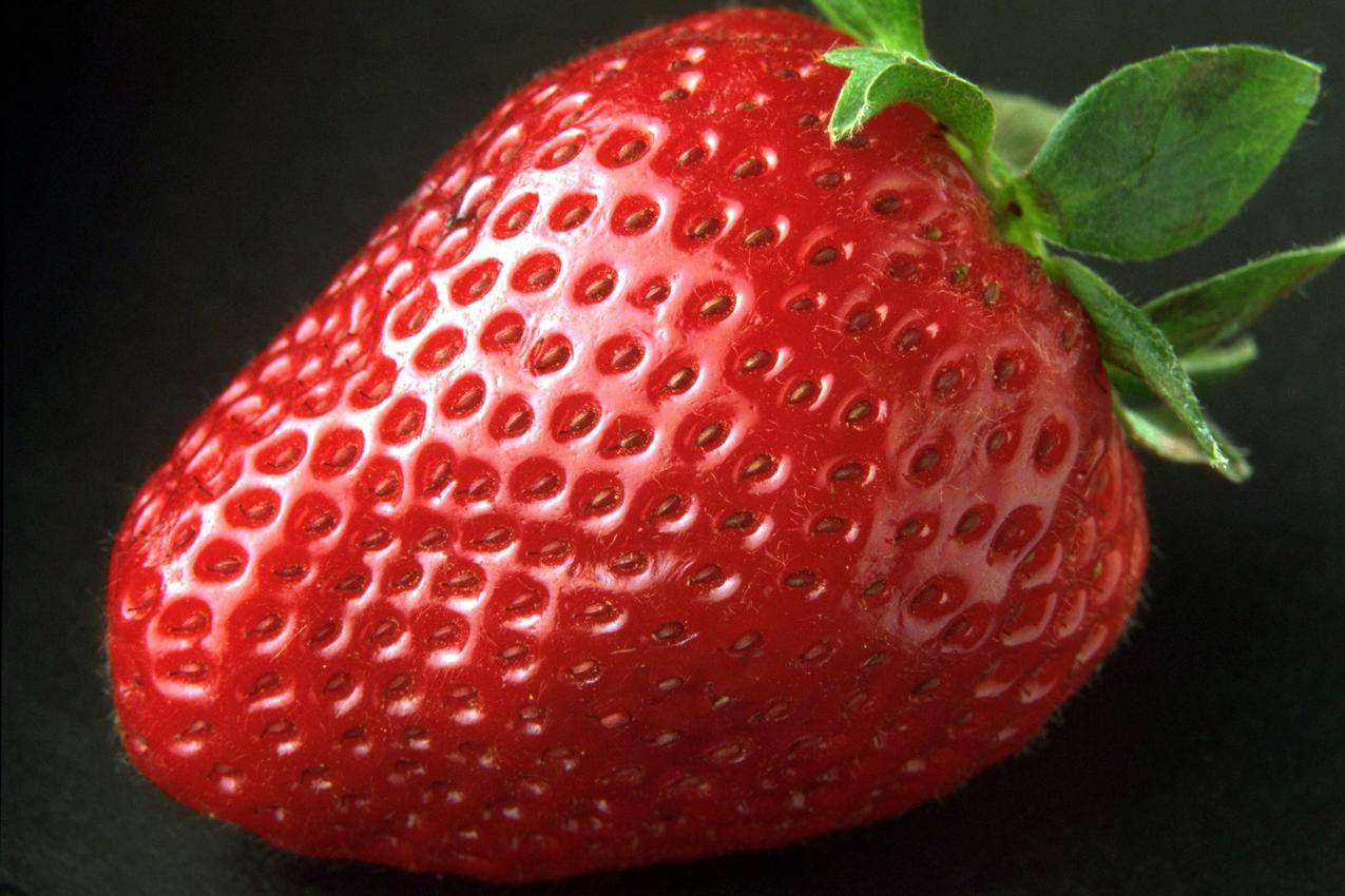 红草莓果实
