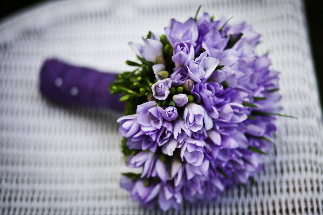 紫色的花束高清图片