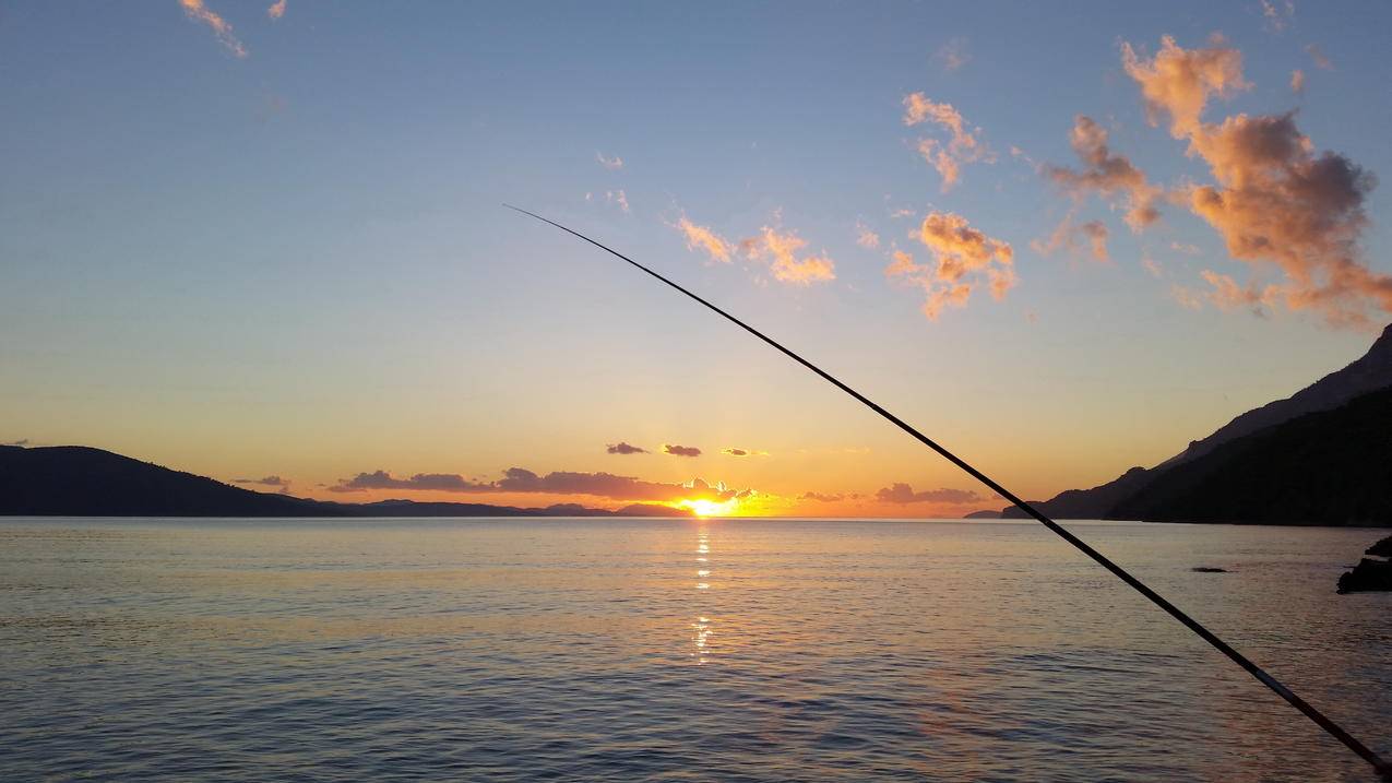 日落时靠近水体的鱼竿