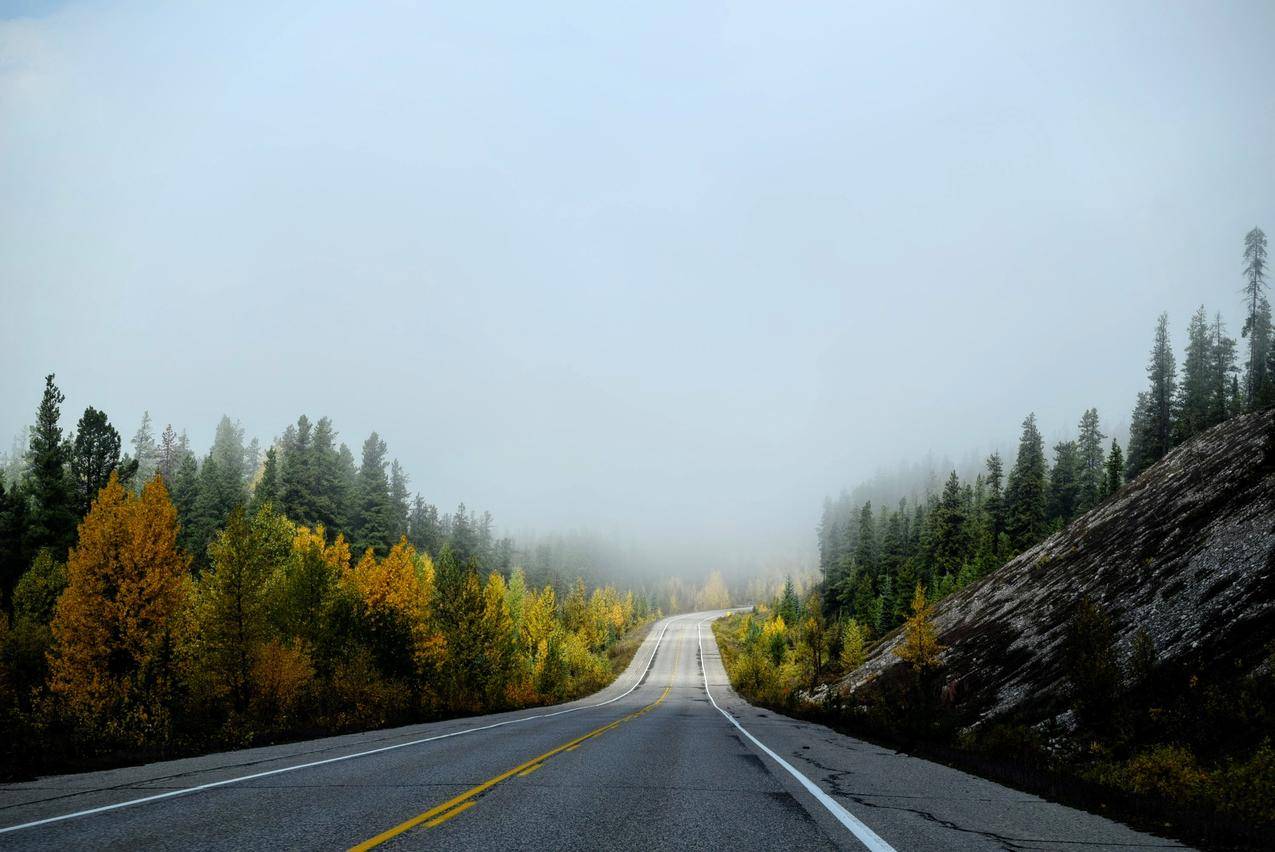 Fog空旷的乡间道路