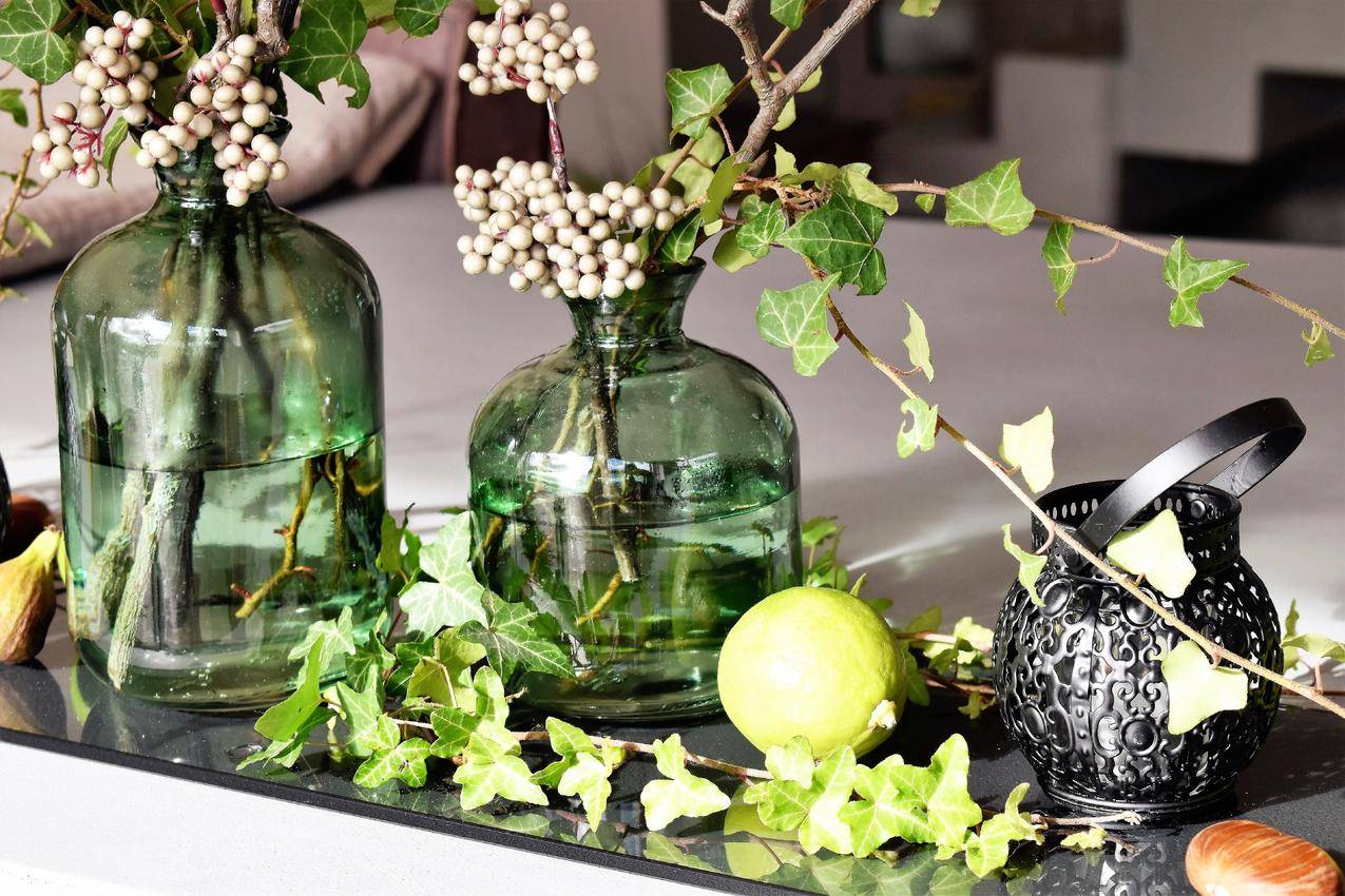 绿色透明玻璃花瓶中的绿叶植物