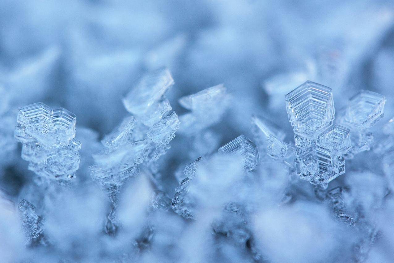 雪花微距摄影高清图片