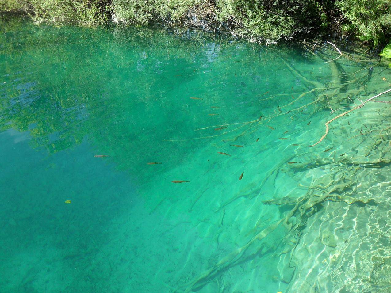 普利特维切湖清澈见底的水风景