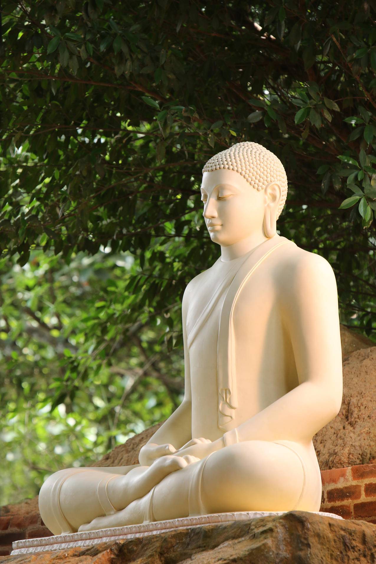 特写照片White,Buddha,Statue