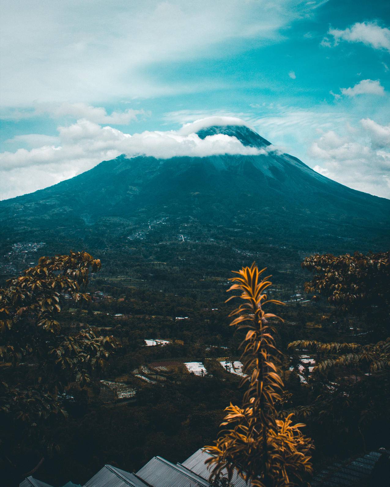 山和树4k壁纸